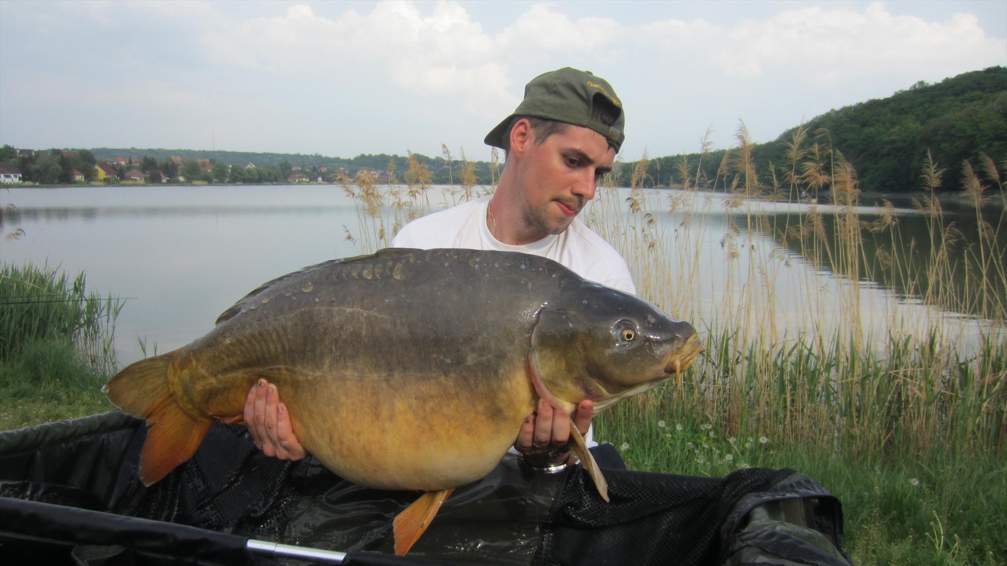 Harsany 1 - 5 mai. - 18.1 kg